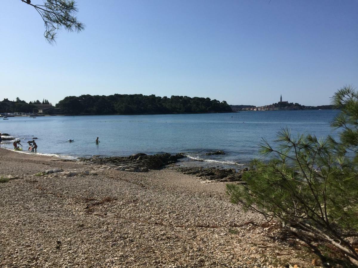 Apartment Balthazar Rovinj Bagian luar foto