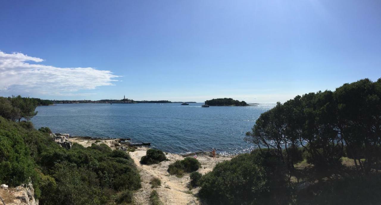 Apartment Balthazar Rovinj Bagian luar foto